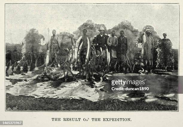 big game hunter and trophies in british east africa, 1897, 1890s, 19th century - hunting trophy stock illustrations