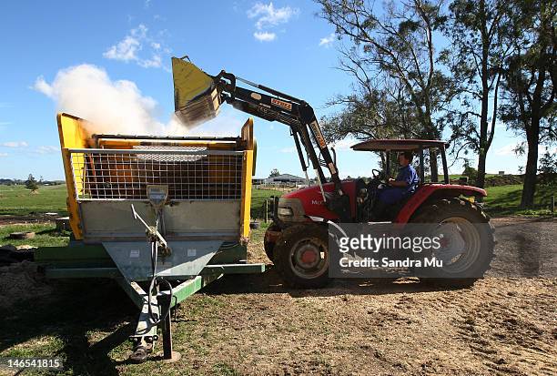 Farmer mixes dry feed for the cows at a dairy farm on April 18, 2012 in Morrinsville, New Zealand. Raw milk sales are growing as more people are...