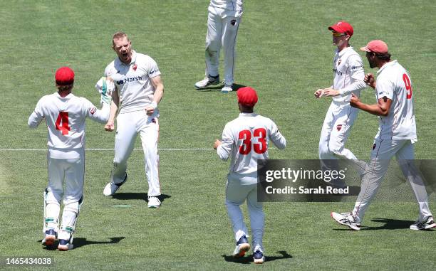 Nathan McAndrew of the Redbacks celebrates the wicket of Marcus Stoinis of Western Australia for 23 runs. Caught Ben Manenti and bowled Nathan...