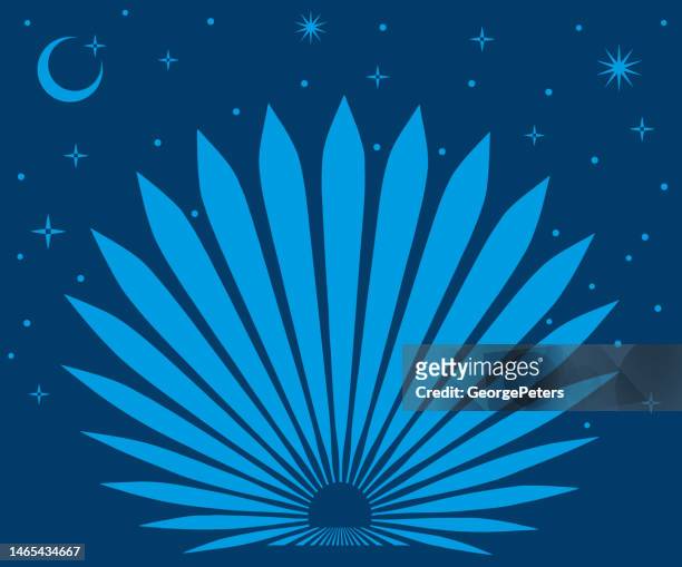 ilustrações, clipart, desenhos animados e ícones de planta de agave azul com céu noturno e estrelas - tequila jalisco