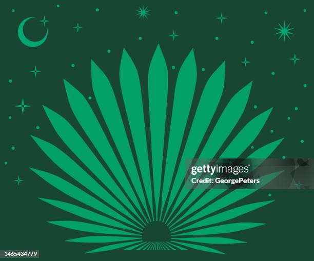 ilustrações, clipart, desenhos animados e ícones de planta de agave azul com céu noturno e estrelas - tequila jalisco