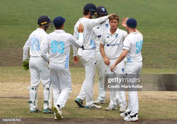 Adam Zampa of the Blues celebrates with his team after taking the wicket of Nathan Ellis of the Tigers during the Sheffield Shield match between New...