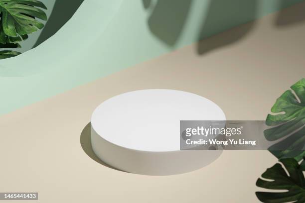 white podium with plant ,3d render - 3d circle photos et images de collection