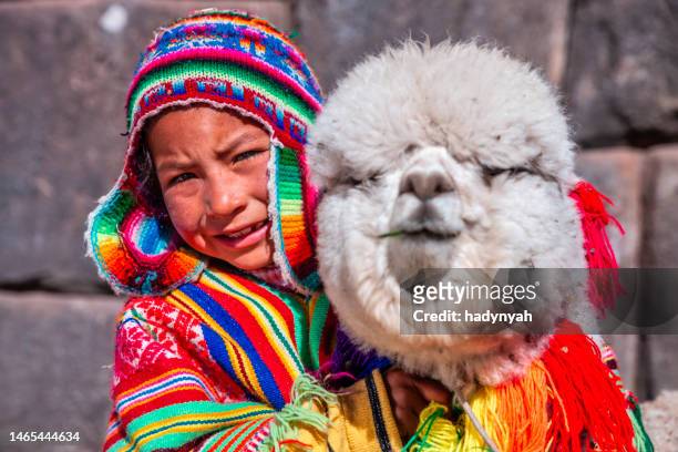 peruvian little boy with an alpaca near cuzco - llama stock pictures, royalty-free photos & images