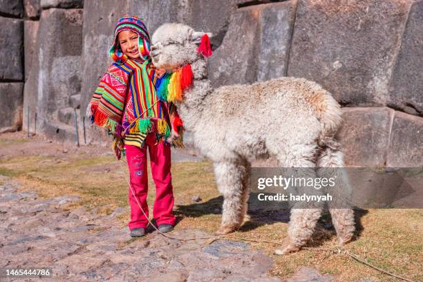 peruanischer kleiner junge mit alpaka bei cuzco - alpaka stock-fotos und bilder
