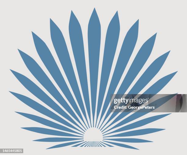 blue agave plant - agave plant stock illustrations