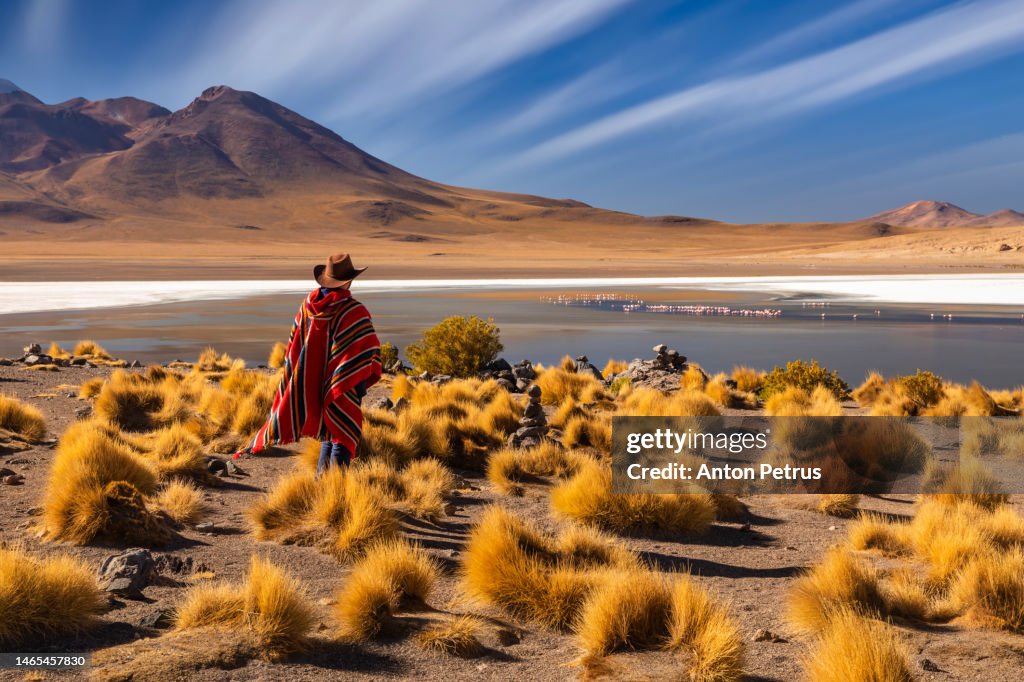 Traveler in a poncho at the Altiplano high plateau, Bolivia