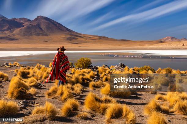 traveler in a poncho at the altiplano high plateau, bolivia - bolivia stock-fotos und bilder