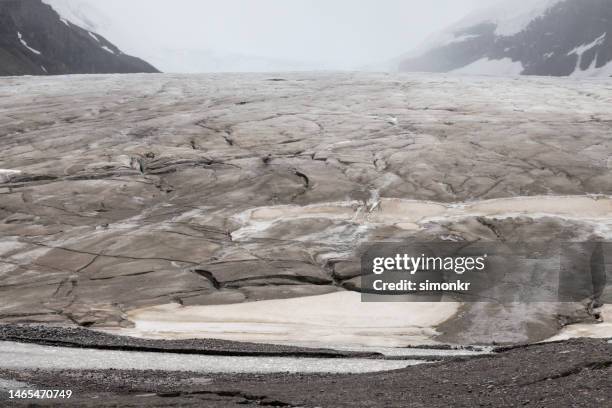 athabasca glacier - columbia icefield stock pictures, royalty-free photos & images