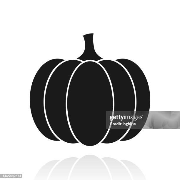 pumpkin. icon with reflection on white background - squash vegetable stock illustrations