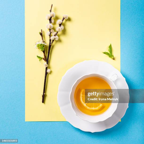 white cup of lemon tea with willow branch on blue yellow background. easter greeting card concept with copy space - saule blanc photos et images de collection