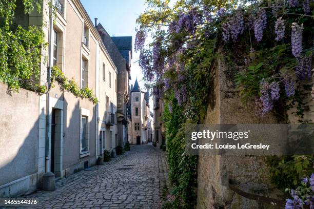 cobblestone street in the old town of angers france - ロワール渓谷 ストックフォトと画像