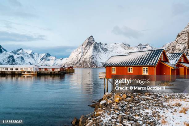 red stilt houses in a scenic fjord, lofoten islands, norway - europäisches nordmeer stock-fotos und bilder