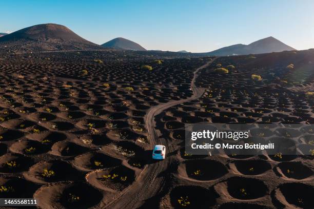 car driving among vines in la geria, lanzarote, spain - dirt road landscape sunset stock pictures, royalty-free photos & images