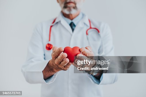 Portrait of a doctor holding a heart in his hands