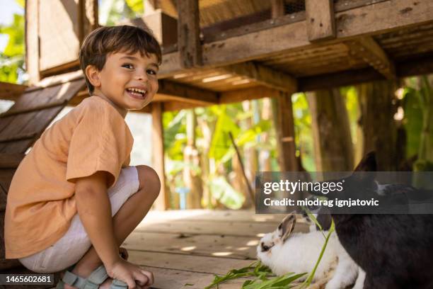 Rabbits Love Photos and Premium High Res Pictures - Getty Images