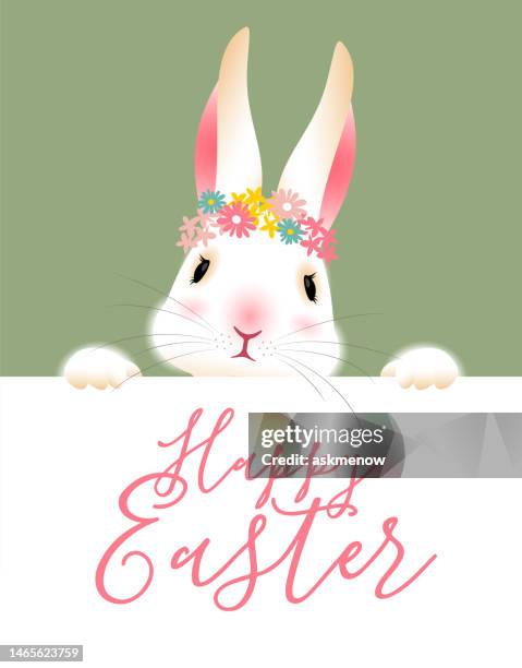 easter bunny banner - baby rabbit white background stock illustrations