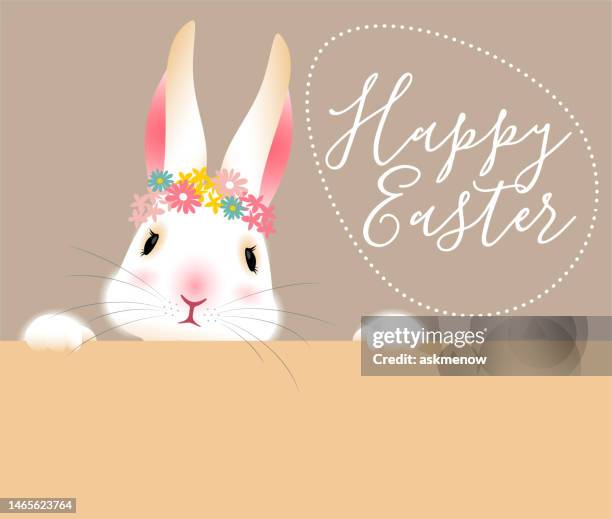 osterhasen banner - osterhase stock-grafiken, -clipart, -cartoons und -symbole