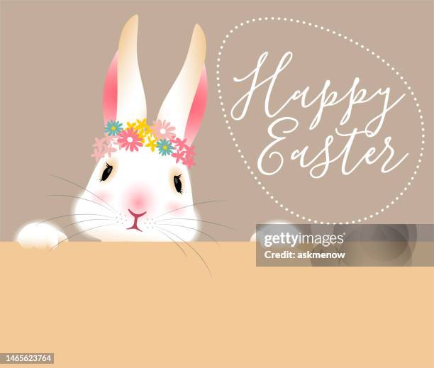 easter bunny banner - hare stock illustrations