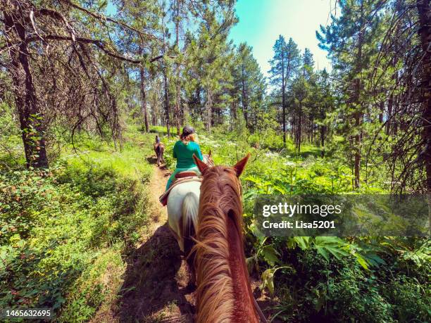 perspectiva personal a caballo con niños a través de un parque nacional, pintoresco - trailriding fotografías e imágenes de stock