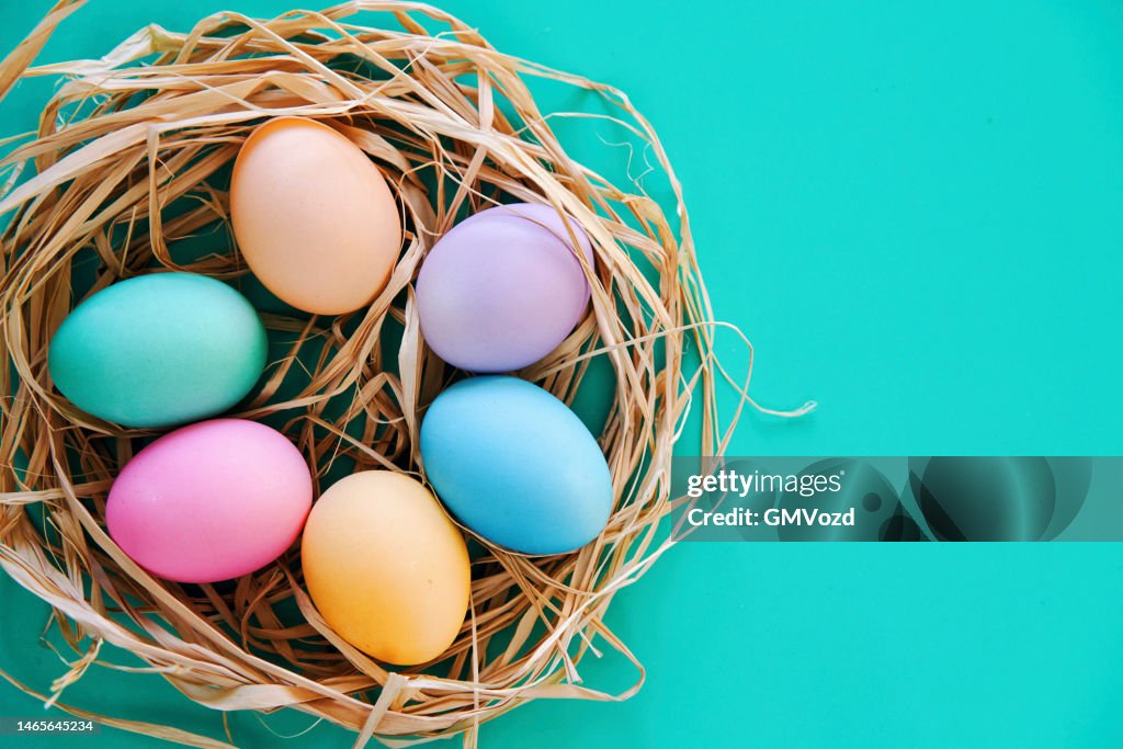 Colorful Easter Eggs in a Nest