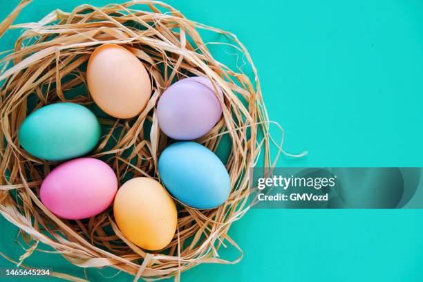 colorful easter eggs in a nest - eierspeise freisteller stock-fotos und bilder