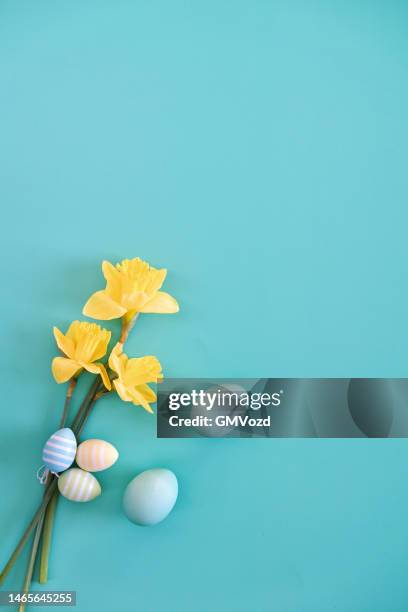 osterschmuck mit narzissen und ostereiern - daffodils stock-fotos und bilder