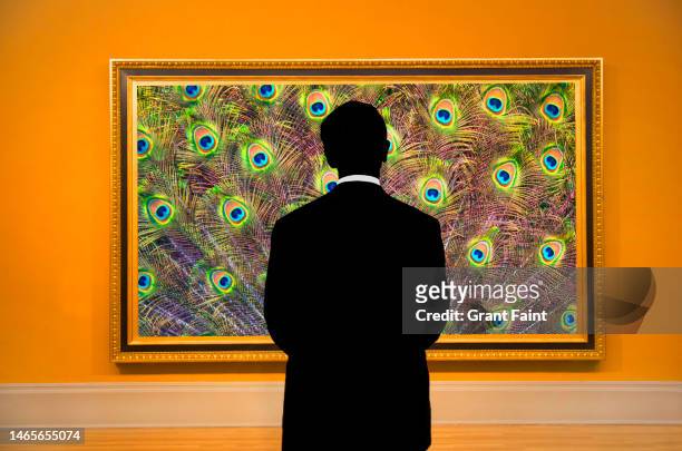 man looking at artwork on wall - vancouver art gallery stock pictures, royalty-free photos & images