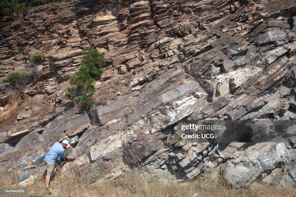 Metasedimentary rock of Proterozoic Prichard Fm, Washington