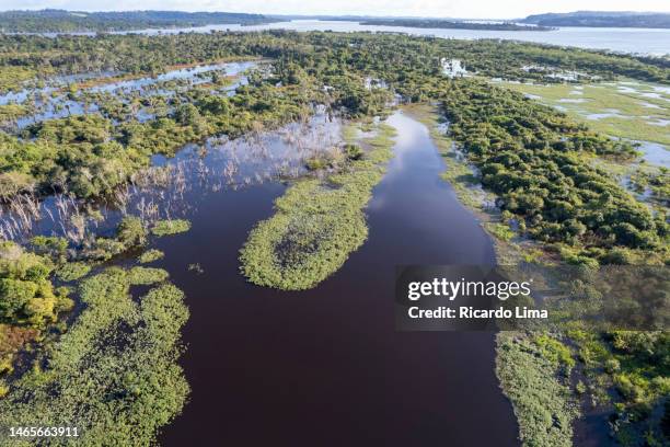 aerial view of island in xingu river - amazon river, brazil. - amazone regenwoud stockfoto's en -beelden