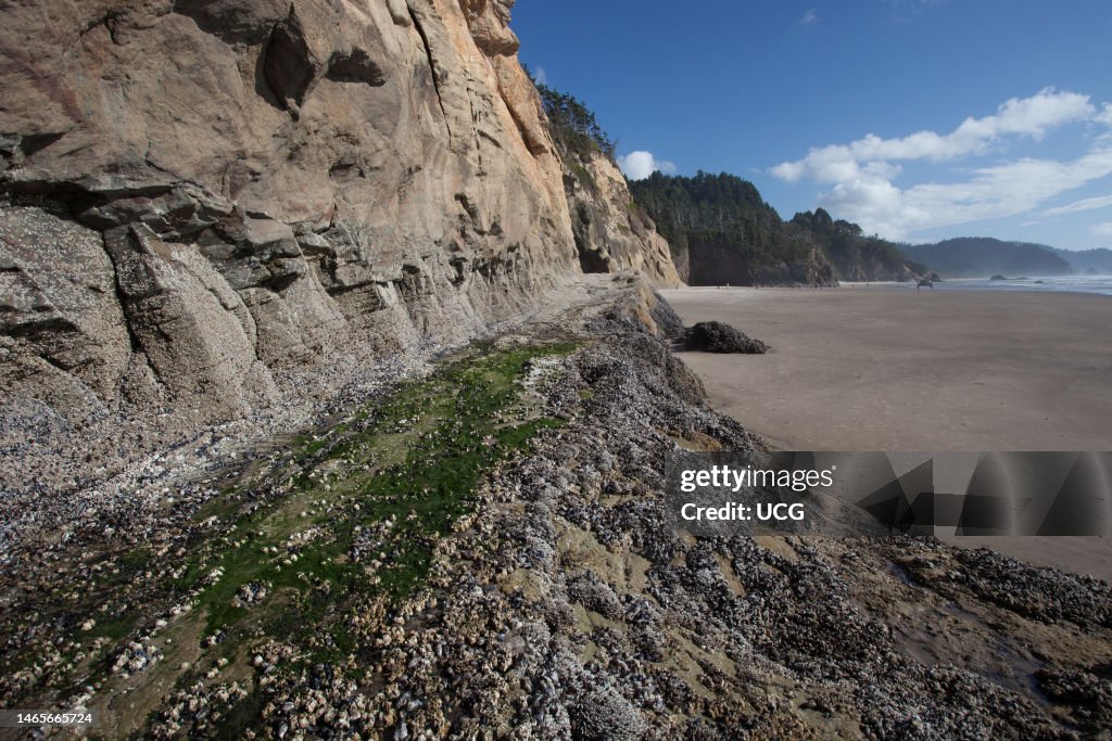 Hug Point Or Map 19th century roadway around Hug Point, Oregon. Cliffs are sandstone ...