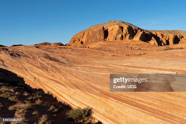 Cross-bedded Jurassic Aztec Sandstone, Valley of Fire State Park, Nevada.