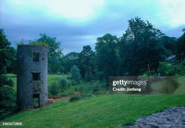 1980s old positive film scanned, blarney castle, medieval stronghold, county cork, ireland - blarney castle stock pictures, royalty-free photos & images