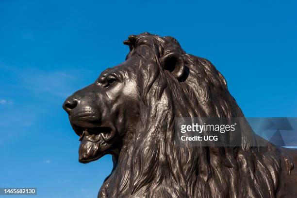 Landseer lion statue in Trafalgar Square, London, UK.