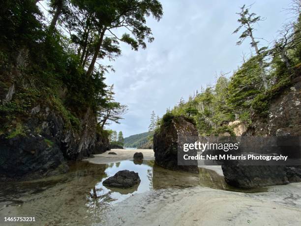 san josef bay - nat stock pictures, royalty-free photos & images