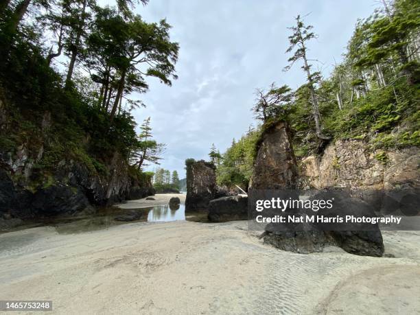 san josef bay - nat stock pictures, royalty-free photos & images