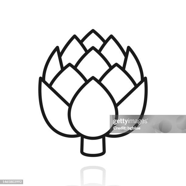 artichoke. icon with reflection on white background - artichoke stock illustrations
