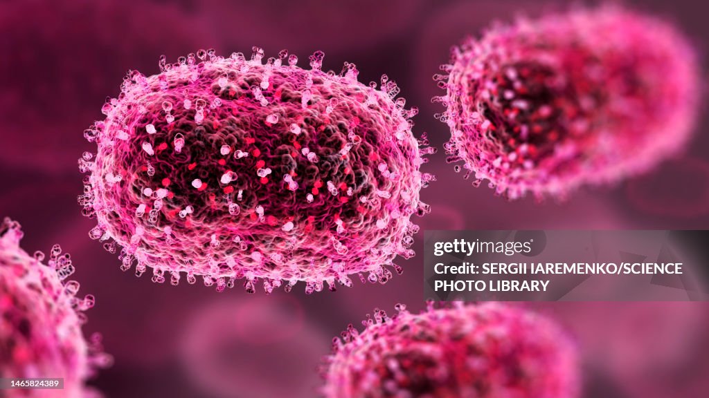 Mpox virus particles, illustration