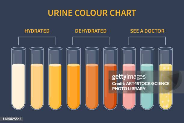 urine colour chart, illustration - urine color chart stock illustrations