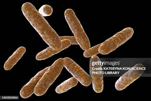 eikenella bacteria, illustration - rod bacteria stock illustrations