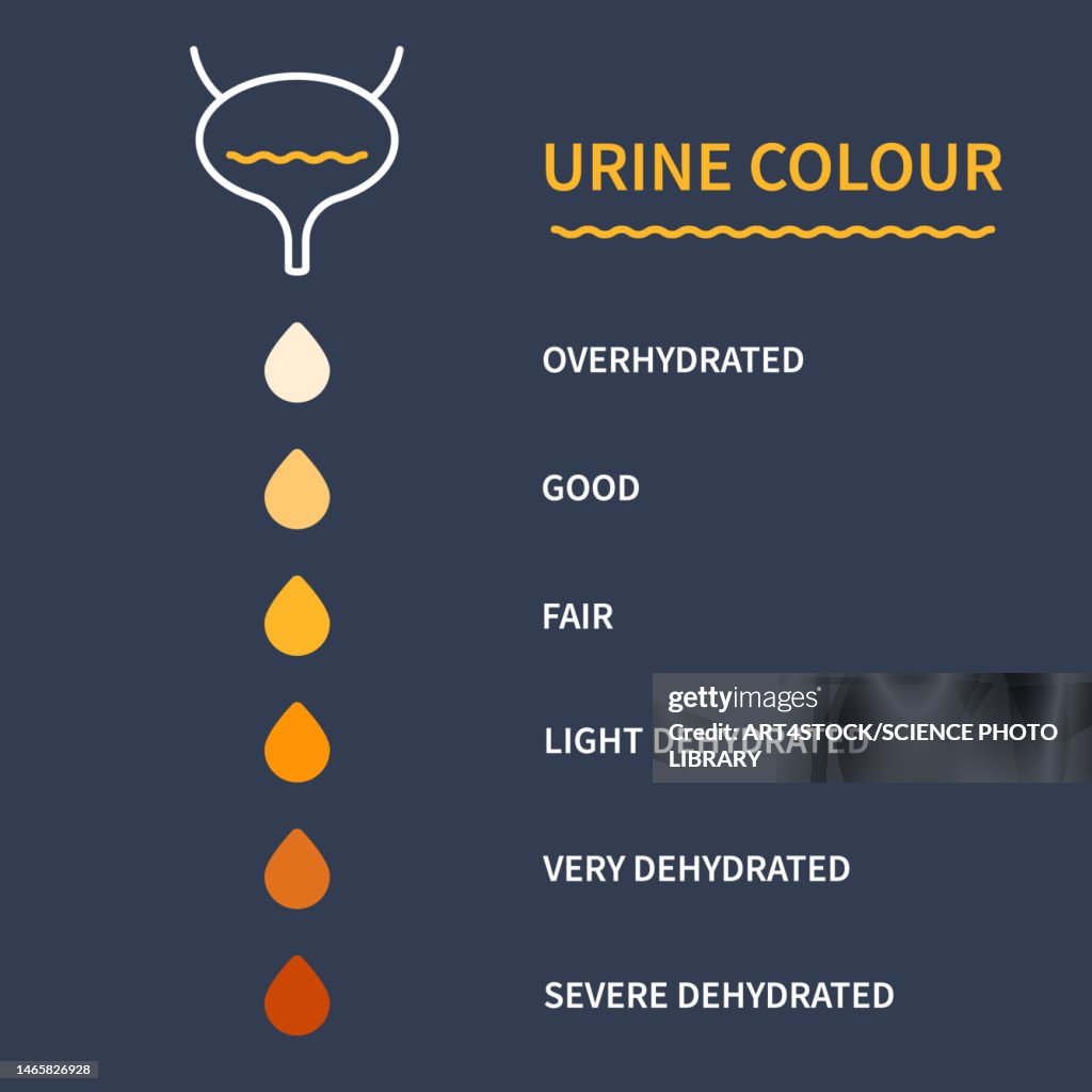 Urine Colour Chart Illustration HighRes Vector Graphic Getty Images