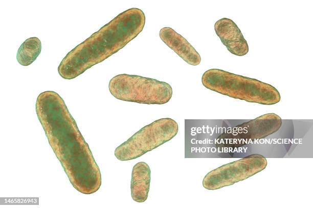 eikenella bacteria, illustration - anaerobic stock-grafiken, -clipart, -cartoons und -symbole