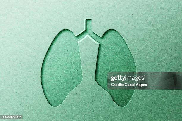 lung anatomy in green paper cut style - bronchial asthma stock-fotos und bilder