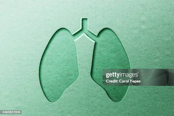 lung anatomy in green paper cut style - neumonía fotografías e imágenes de stock