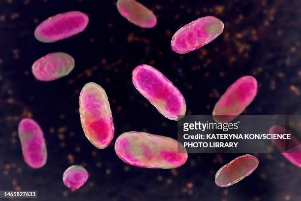 aggregatibacter bacteria, illustration - actinomyces stock-grafiken, -clipart, -cartoons und -symbole