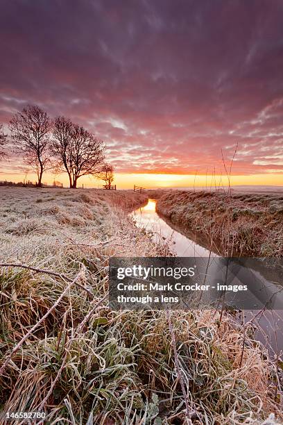 Tickenham Ridge Tickenham Photos and Premium High Res Pictures - Getty Images