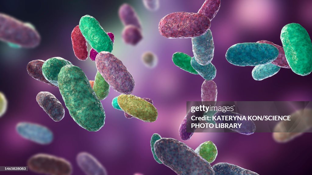 Aggregatibacter Bacteria Illustration HighRes Vector Graphic Getty