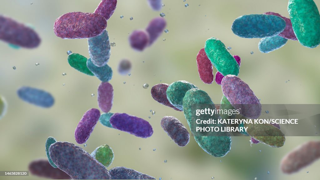 Aggregatibacter bacteria, illustration
