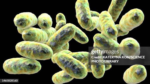 aggregatibacter bacteria, illustration - periodontal disease stock illustrations