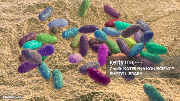 illustrazioni stock, clip art, cartoni animati e icone di tendenza di aggregatibacter bacteria, illustration - actinomyces